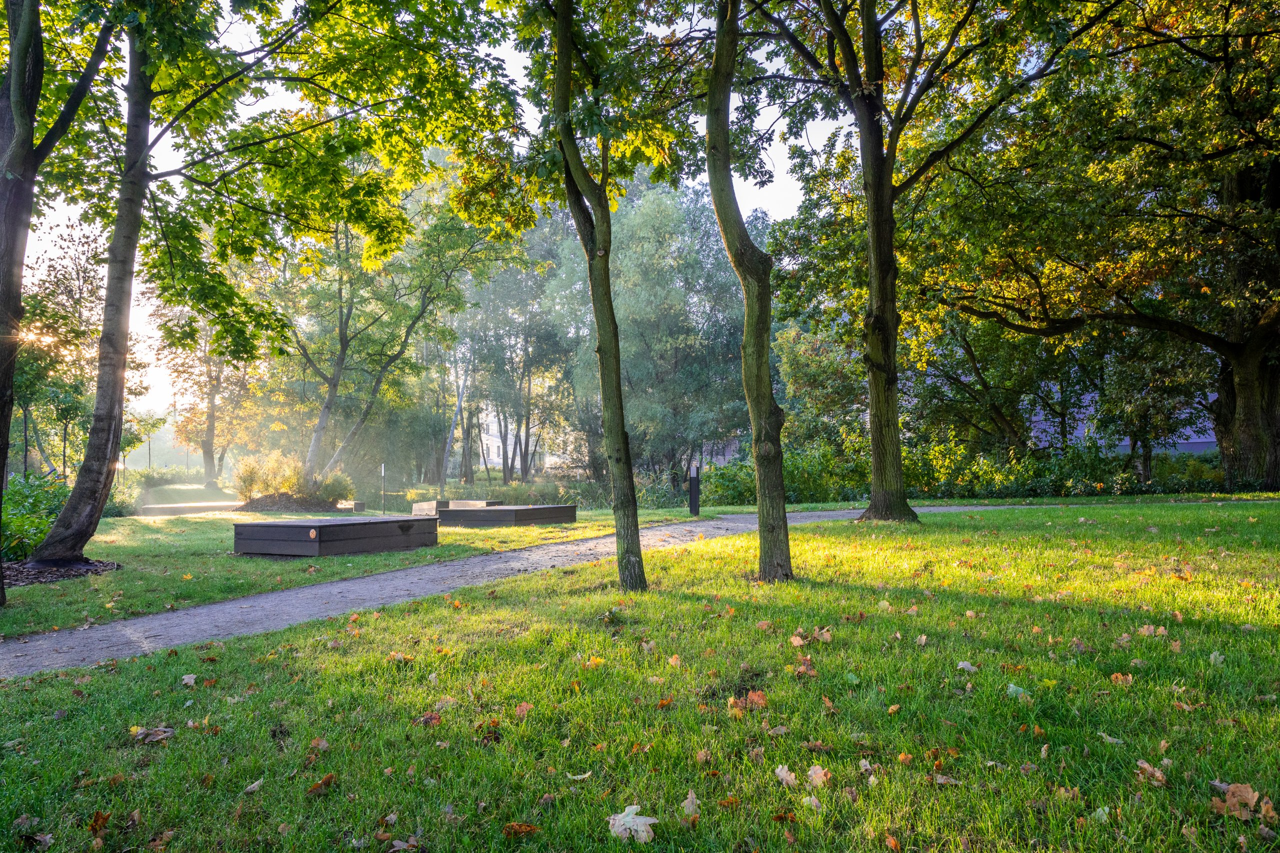 Promienie słońca padają przez liście drzew i oświetlają ścieżkę oraz ławki w parku przy osiedlu