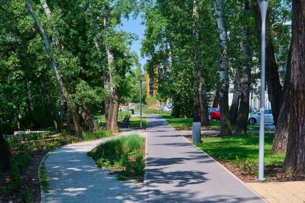 Widok na ścieżkę rowerową i spacerową w parku na osiedlu Olimpia Port
