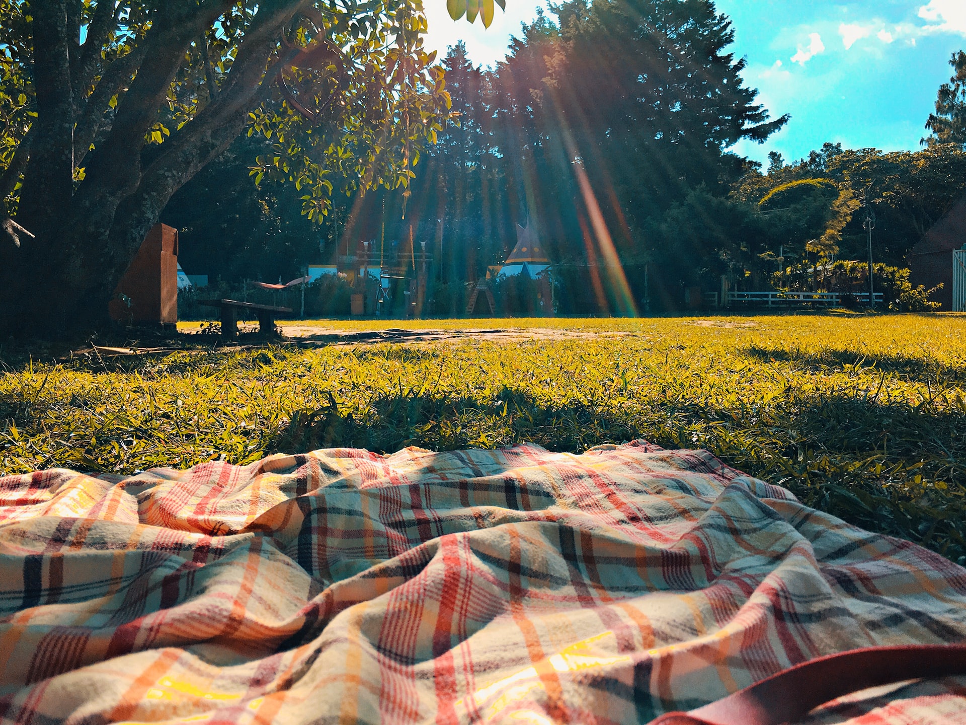 Zdjęcie z koca na trawniku, na którym widać park i drzewa w promieniach słońca